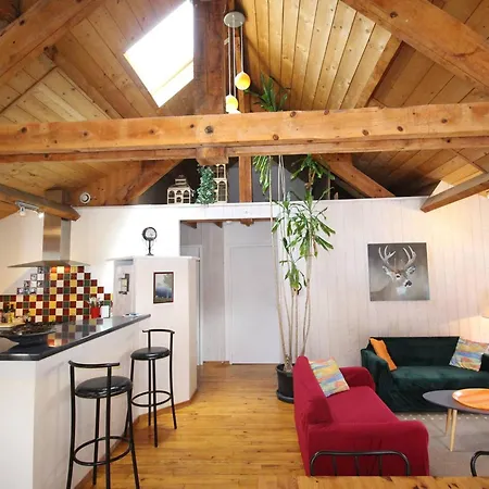 Duplex 140 M² Pour 8 Pers. à Luchon Proche Télécabine Et Thermes, Confort, Wifi, Animaux Ok - Fr-1-313-231