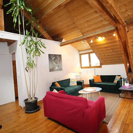 Duplex 140 M² Pour 8 Pers. A Luchon Proche Telecabine Et Thermes, Confort, Wifi, Animaux Ok - Fr-1-313-231 公寓 Bagnères-de-Luchon